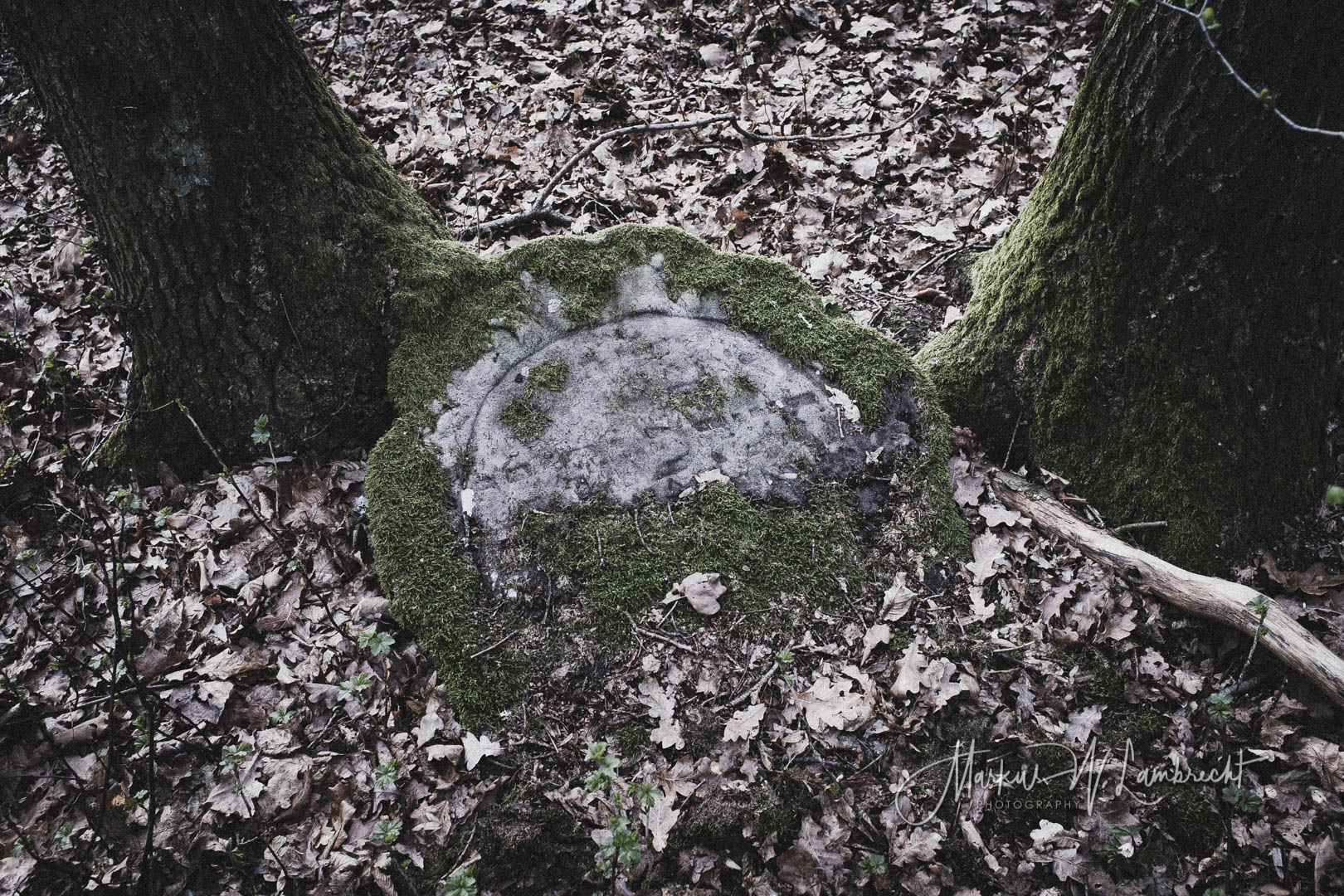 Ebersburg, Jüdischer Friedhof